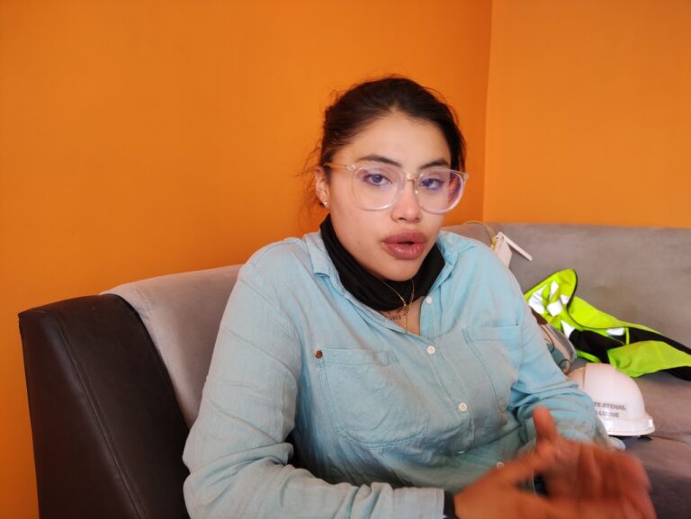 Ingeniera mollendina brindará servicios gratuitos de consultoría en construcciones