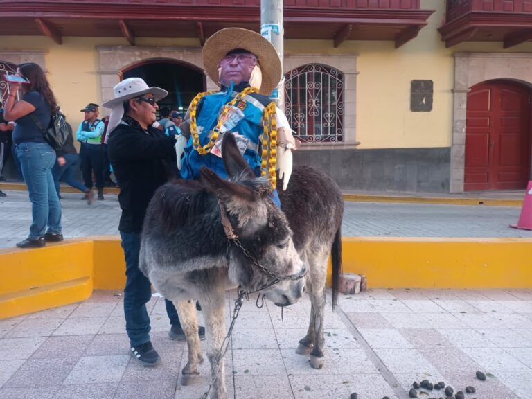 Protesta inusual en Torata: Manifestantes contra el alcalde Elvis Córdova llegan con burro y pancartas