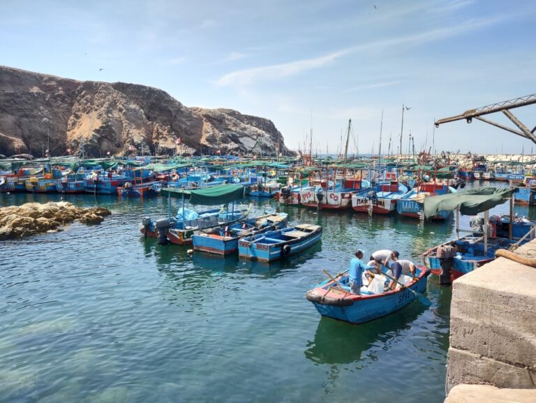 Capitanía de puerto implementa medidas para controlar residuos en la pesca artesanal
