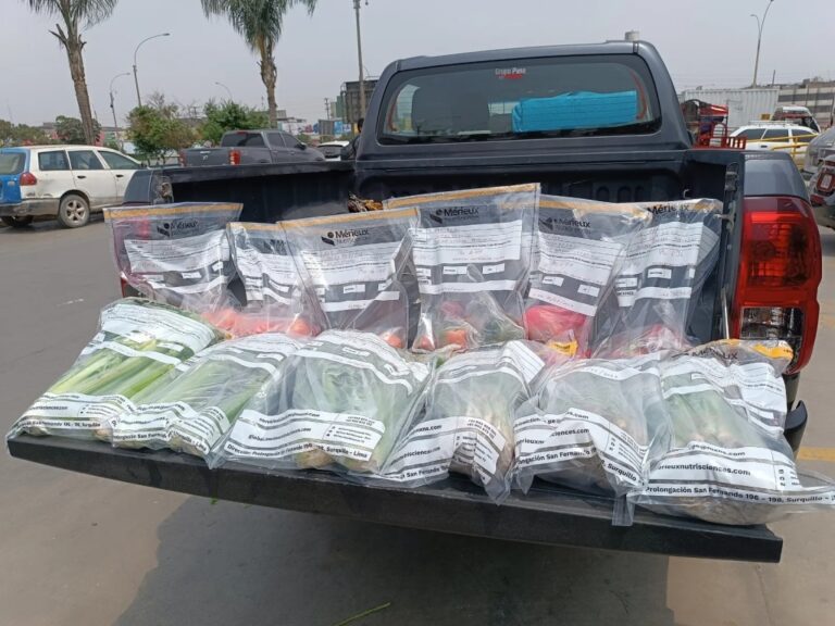 Alerta en Arequipa: alimentos con plaguicidas en exceso