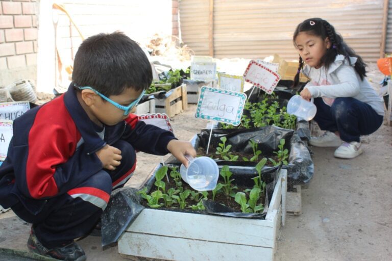 Niños en Moquegua aprenden alimentación saludable con huerto escolar
