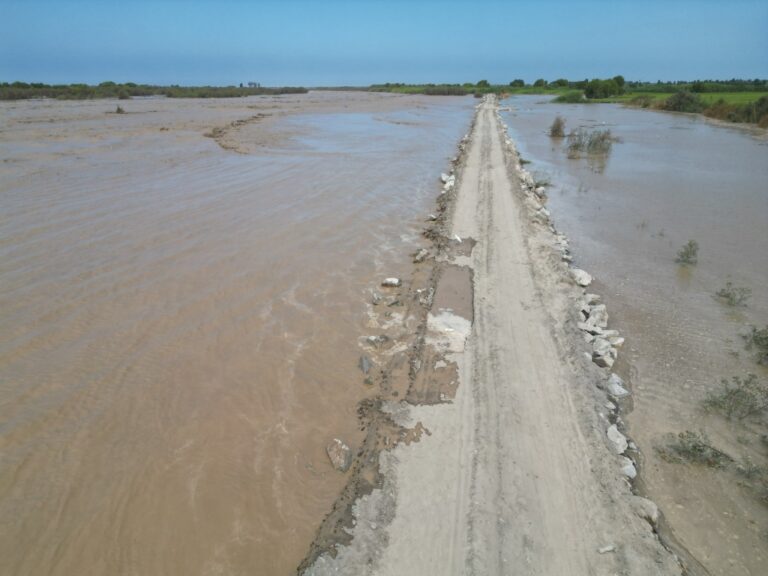 Autoridades planifican reforzar defensas y descolmatar el río Tambo