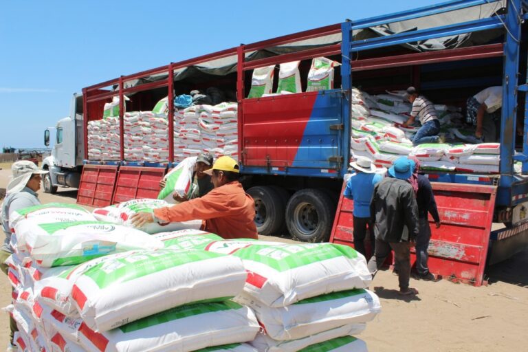 Entregan 33 toneladas de alimentos a criadores porcinos de Punta de Bombón