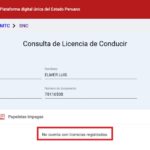 Estado licencia de conducir motociclista Elmer Tijutani 09112024