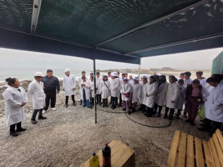 Estudiantes de Puno realizan pasantía en Ilo y conocen innovador proyecto de crianza de corvina