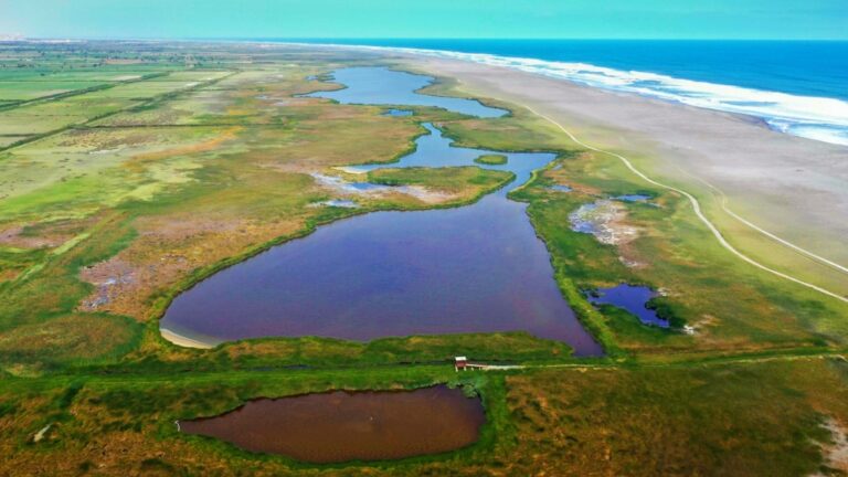 Tía María: ANA realizará verificación de uso de aguas superficiales residuales