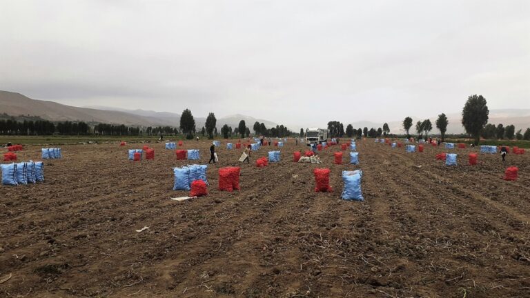 Proyecto 8 Provincias: ingenieros reciben capacitación sobre agricultura orgánica