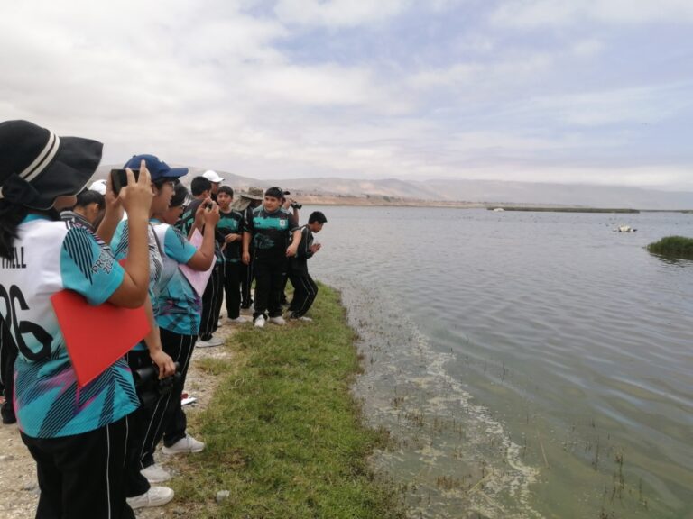Tacna: cerca de mil estudiantes visitan ecosistemas frágiles de Lomas de Morro Sama y Humedales de Ite