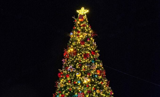 Este viernes encienden árbol navideño en Cocachacra