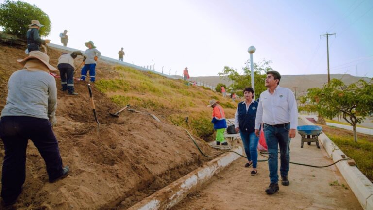Municipio de Ilo sin agua: áreas verdes en riesgo por falta de pago a la EPS