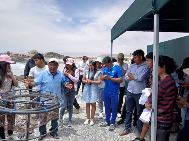 Innovador proyecto de crianza de corvina en Ilo atrae el interés académico