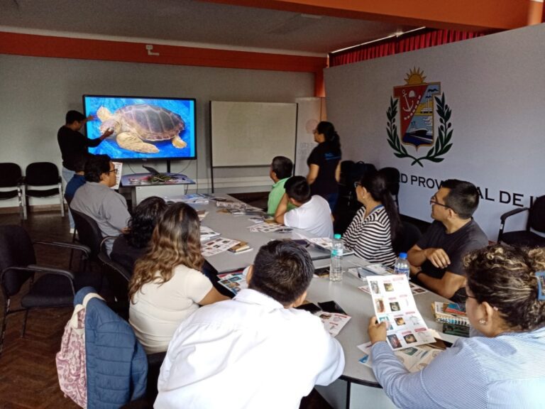 SERFOR compartió experiencias en Ilo sobre manejo y liberación de tortugas marinas