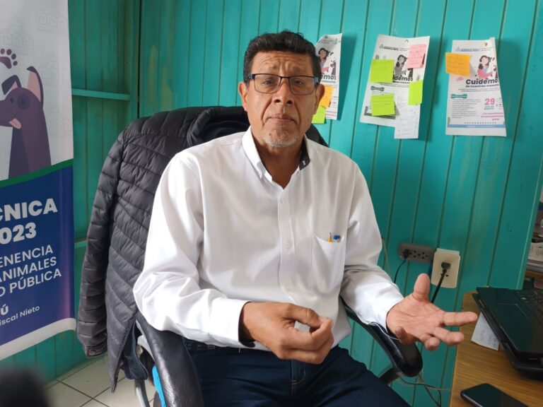 Un representante de Ilo asumirá el cargo de consejero delegado para el 2025