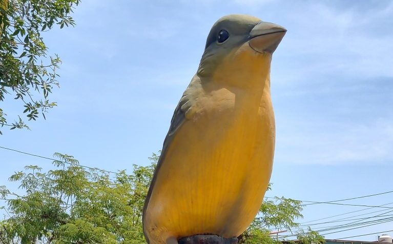 Se realizó el XVI Concurso “Chollonco de Oro” por el aniversario de Mollendo