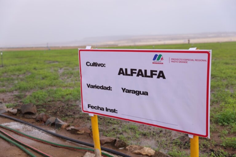 Enorme Proyecto Pasto Grande: millonario presupuesto, escasos resultados