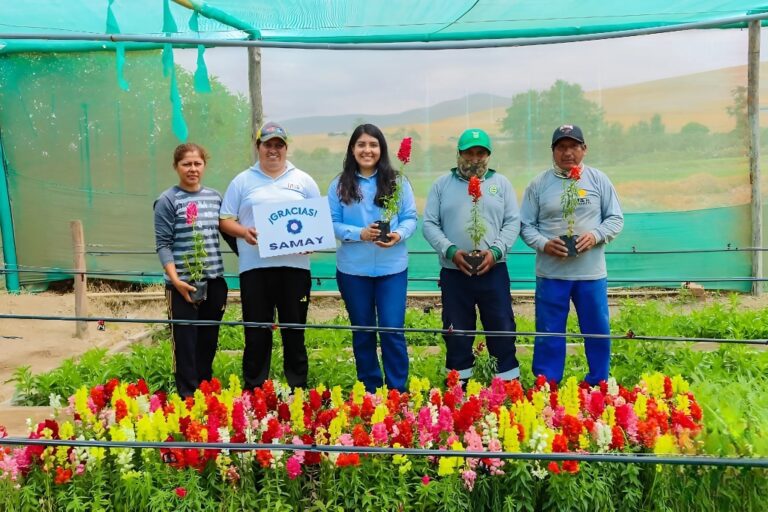 Mejía recibe 1,901 plantones para reforestación ambiental