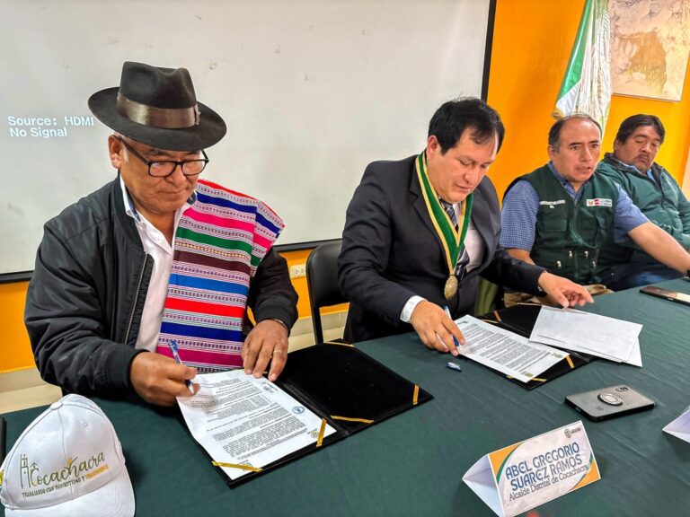 Municipios firman convenio: Cocachacra impulsará uso de semilla de papa de Huasahuasi