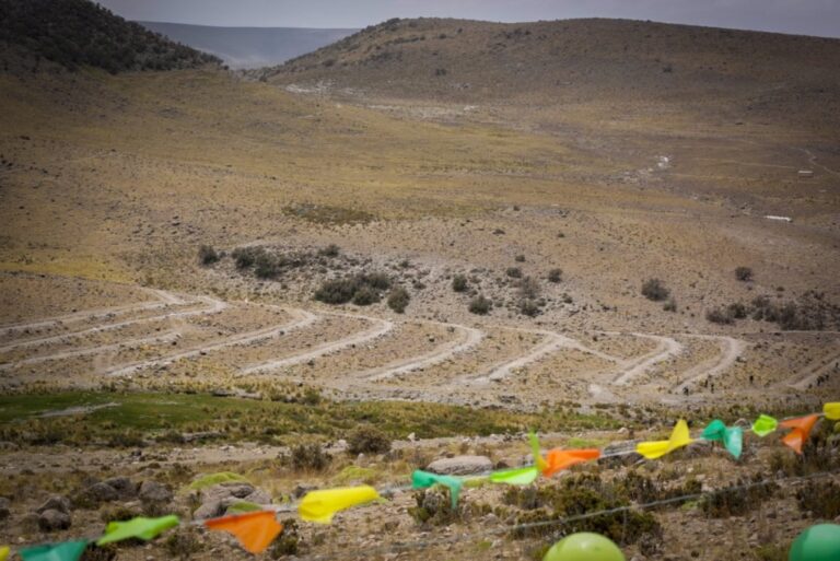 Moquegua: recuperarán cobertura vegetal gracias a siembra de más de 5 mil árboles