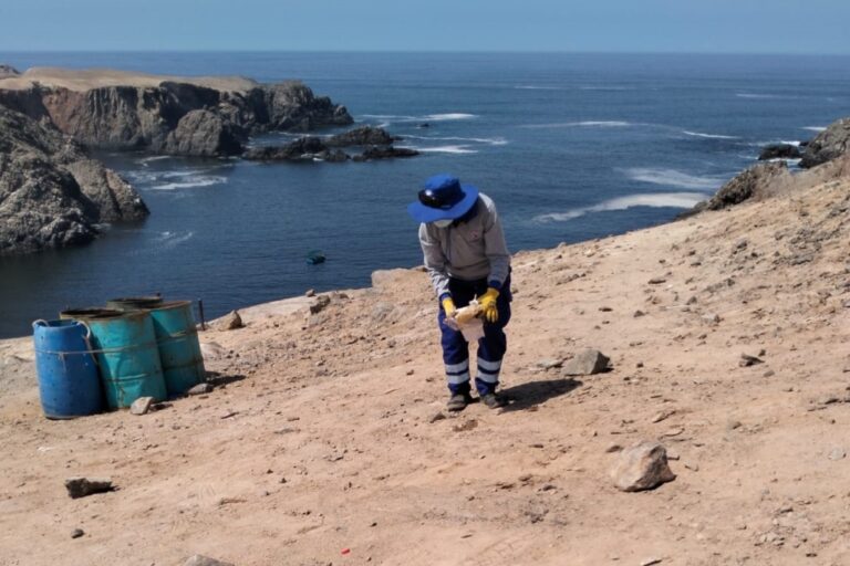 Recolectan media tonelada de basura en la caleta Quebrada Honda