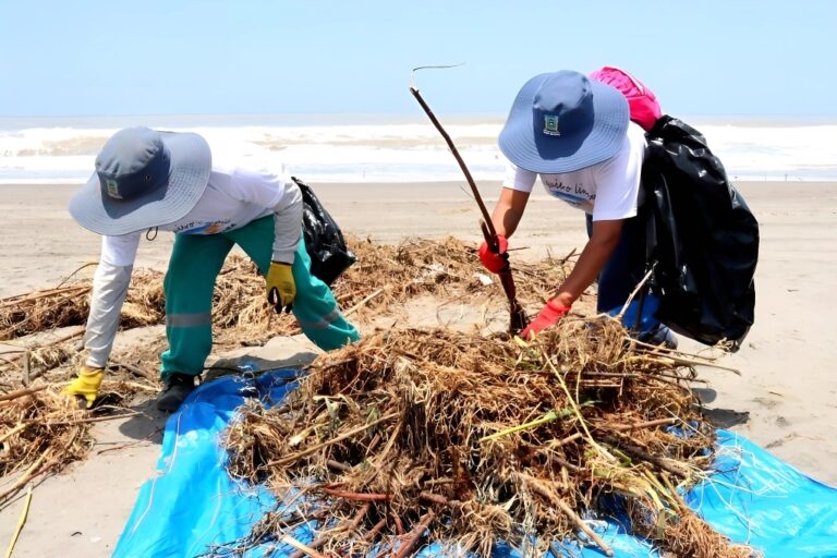 Limpian playa La Motobomba por el Día de la Educación Ambiental