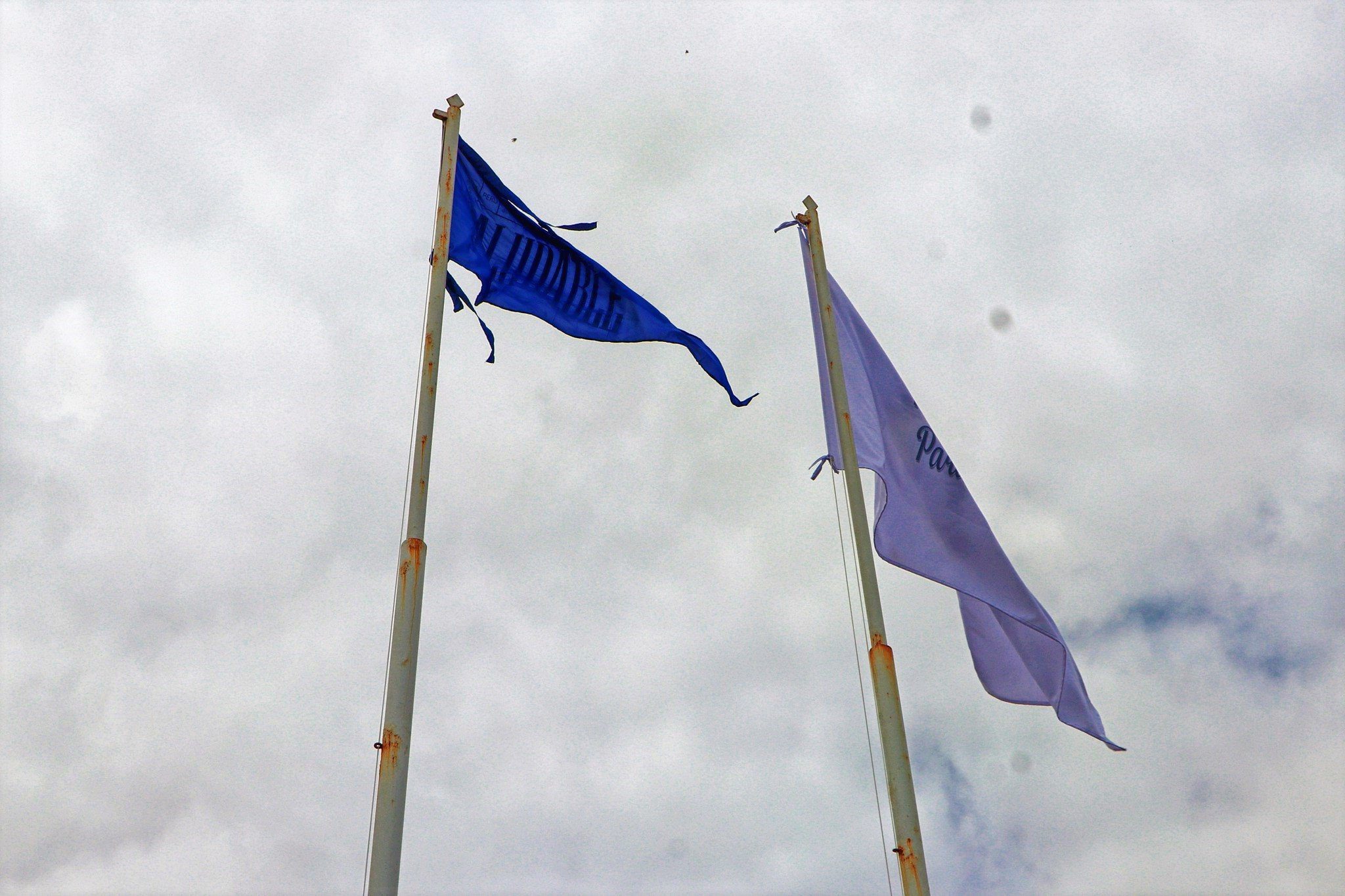 Mollendo recibirá bandera azul que certifica playas saludables 2 Playas saludables Mollendo 09012025 2 La Prensa Regional