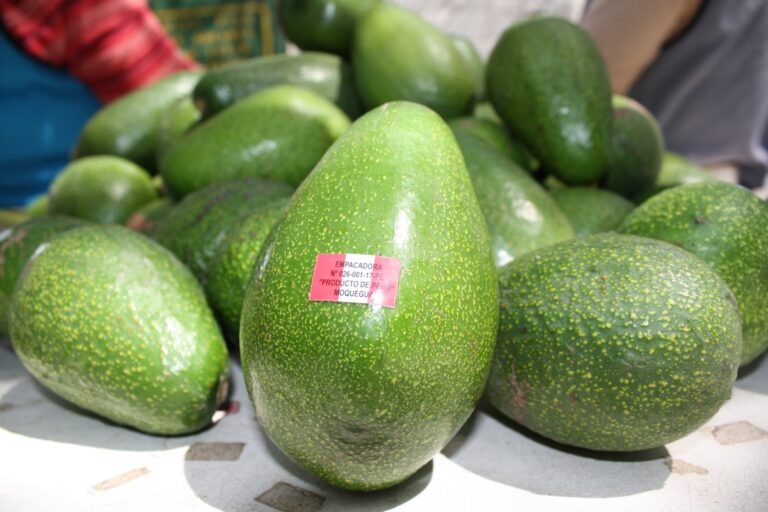 Aromas y sabores: gratos recuerdos de Moquegua