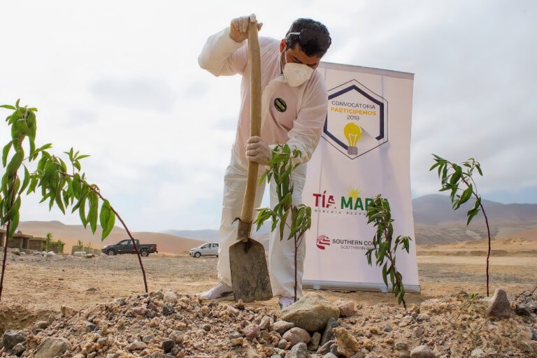 Tía María y su fortaleza legal para avanzar