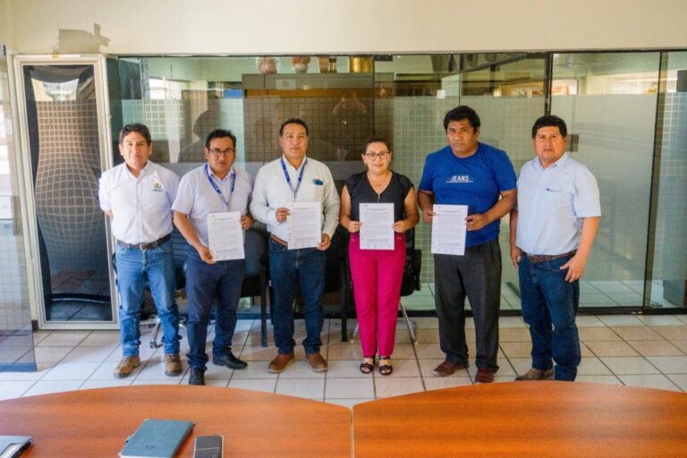 Ilo da luz verde al desarrollo: 330 familias se beneficiarán con nuevo sistema eléctrico