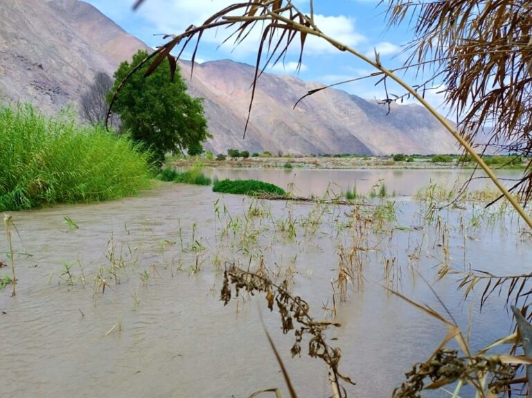 Río Tambo se desborda y causa daños en Valle Arriba