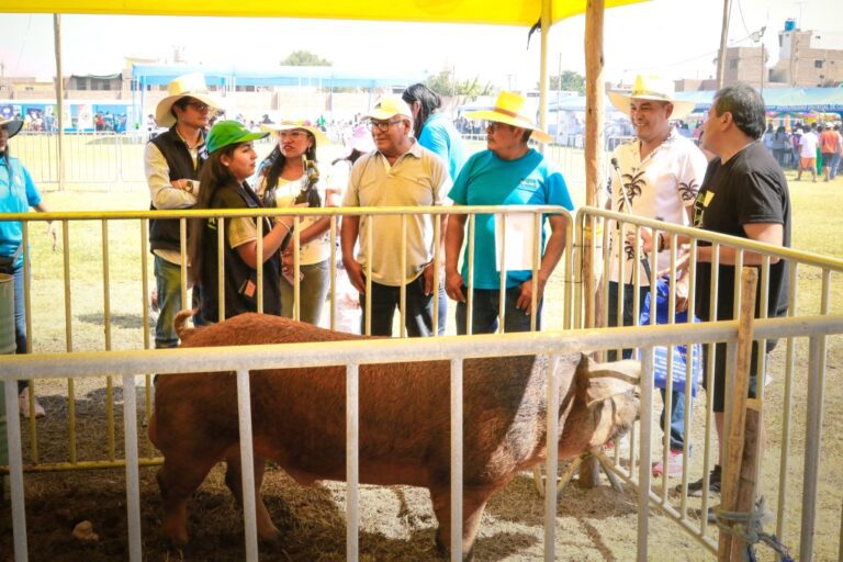 Cocachacra celebra su Segundo Festival Porcino en Chucarapi