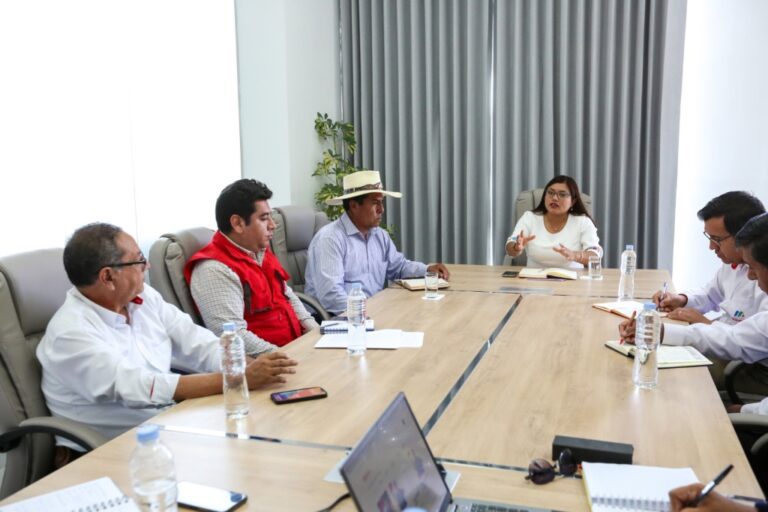 Gobierno regional culminará expedientes técnicos para construir 2 puentes en Ubinas