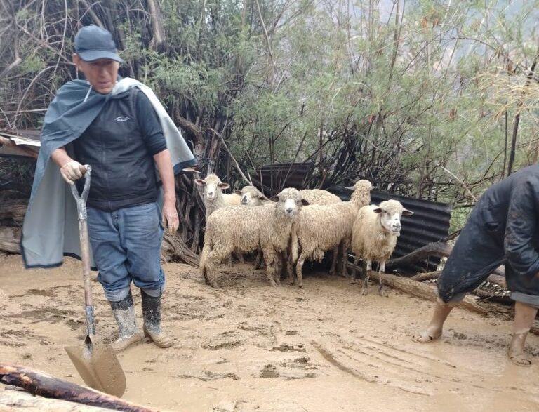Huaico arrasa con 25 viviendas en Candagua: Comunidad exige muro de contención