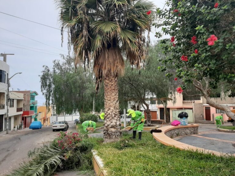 Pedro Ávalos: Frente Único de Defensa no debe estar ligada a intereses políticos