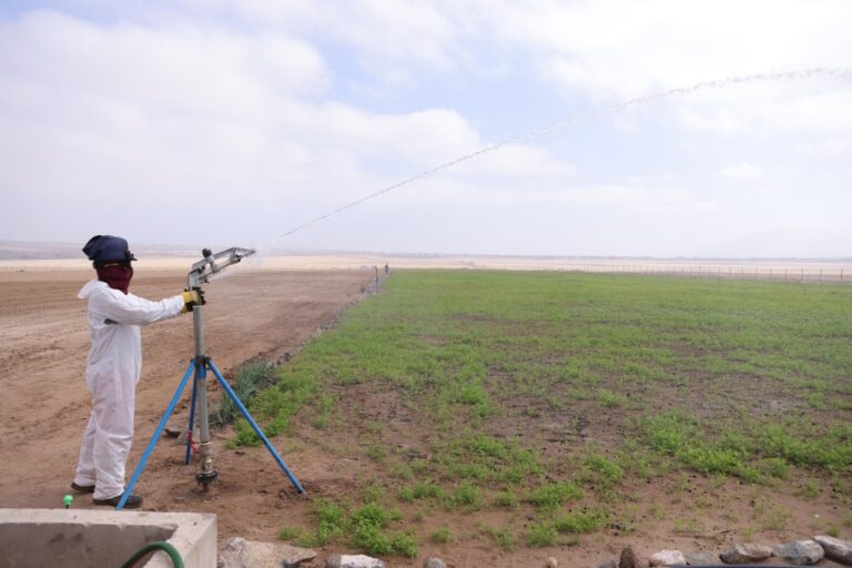 Lomas de Ilo: un elefante blanco para sueldos burocráticos