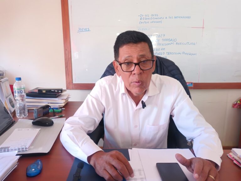 En Moquegua: carnavales 2025 serán el 1 de marzo