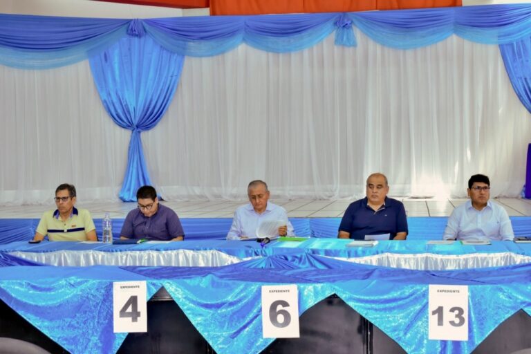 Subasta municipal Ilo: adjudican cinco lotes, tres quedan desiertos