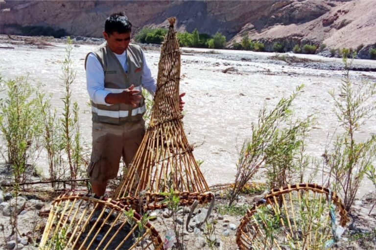 Río Tambo: incautan trampas ilegales y liberan camarones vivos