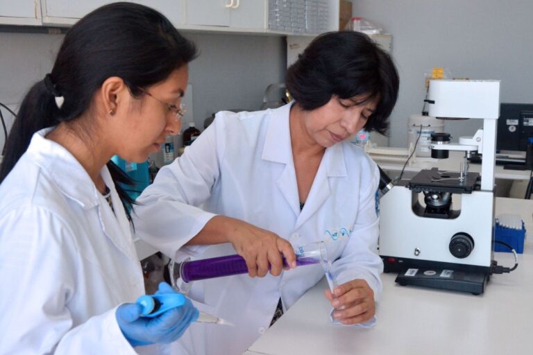 Bono de Docente Investigador: impulso a la investigación en universidades públicas del Perú