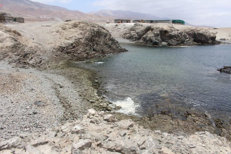 Capitanía convoca a elección de delegado náutico en Caleta Arantas