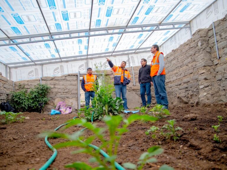 Impulsando la seguridad alimentaria en Torata