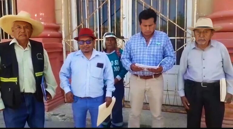 Presentan acción de amparo contra proyecto Tía María