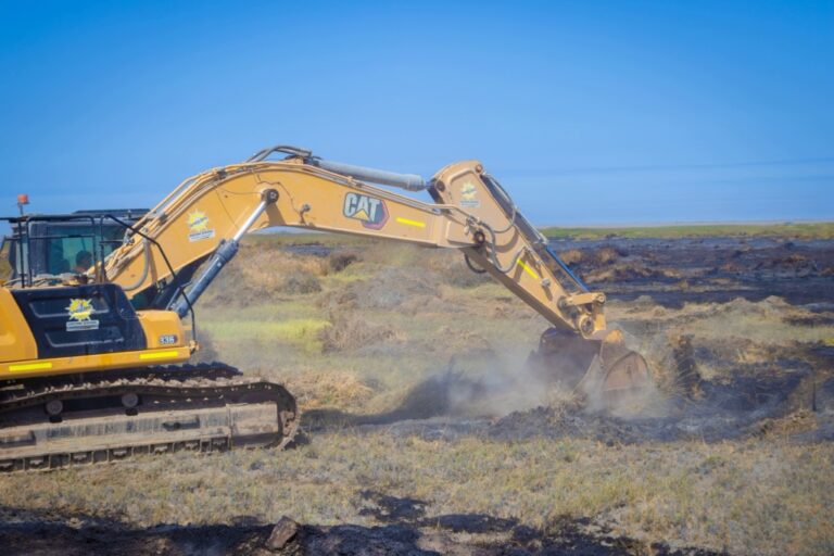 Artesanos saludan reforestación en el Santuario de las Lagunas de Mejía