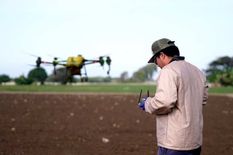 Agricultores del valle de Tambo dan un salto tecnológico con programa de fumigación aérea