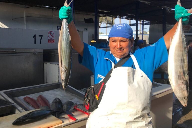 Establecen captura de bonito desde mayo hasta agosto en 11,800 toneladas