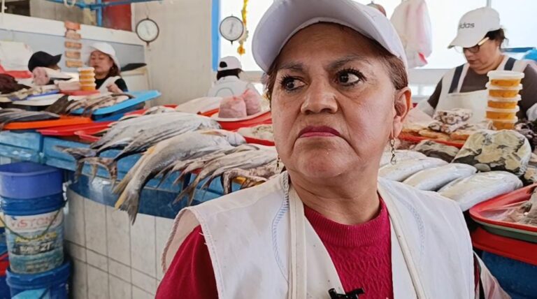 Comerciantes de “El Lenguadito” piden mayor seguridad ante presencia de personas de «mal vivir»