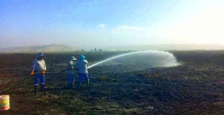 Personal edil y técnico del municipio de Deán Valdivia apoyó control de incendio