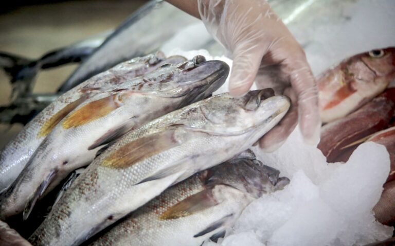 Consumo de pescado crecería 7.5% en Semana Santa y superaría las 7,900 toneladas