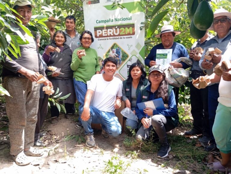 INIA transfiere tecnologías para mejorar el cultivo de palta en Moquegua