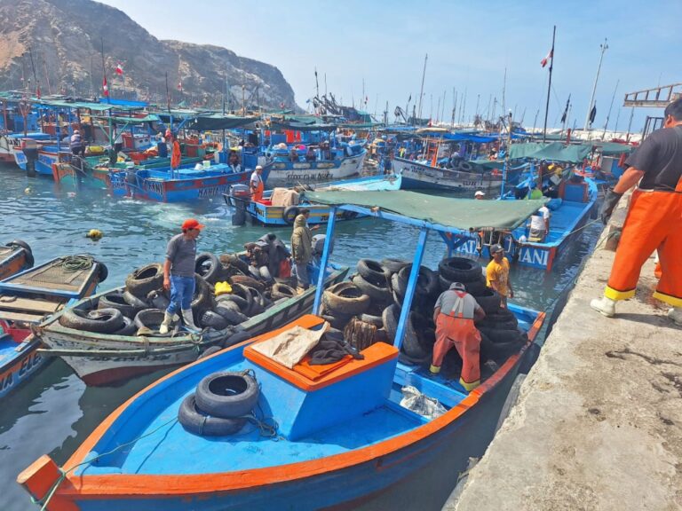 Matarani: jornada de limpieza en el Muelle IPA El Faro