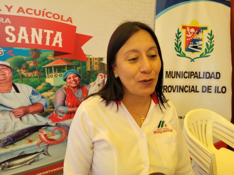 Buscan combatir la inseguridad en el Desembarcadero Pesquero Artesanal de Ilo